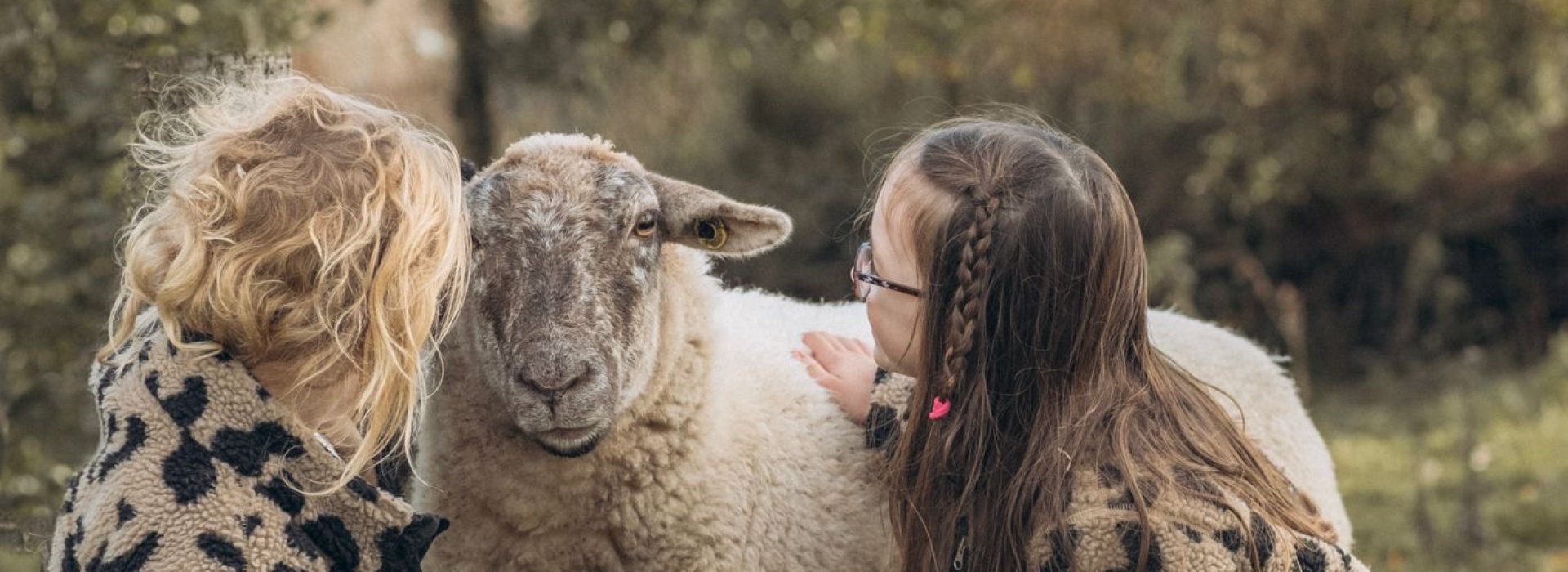 0307cebe-3262-4211-882b-efb639ac6b30 0307cebe-3262-4211-882b-efb639ac6b30