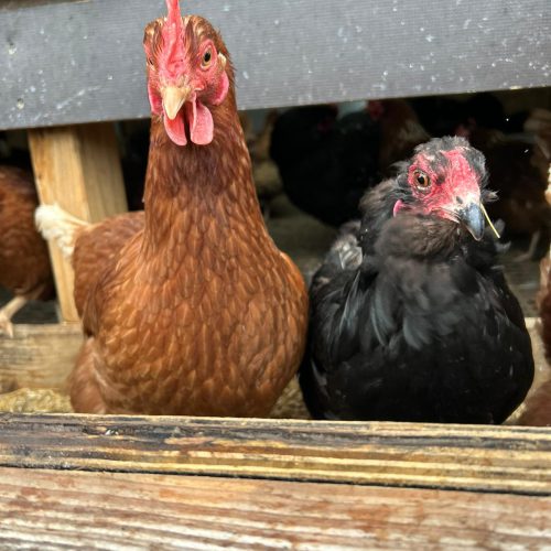 47b10484-3611-4550-92ae-73486a77167c 47b10484-3611-4550-92ae-73486a77167c